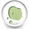 Green Tea Extract
