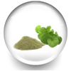 Brahmi Extract