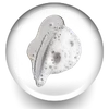 Sodium Lauroyl Sarcosinate